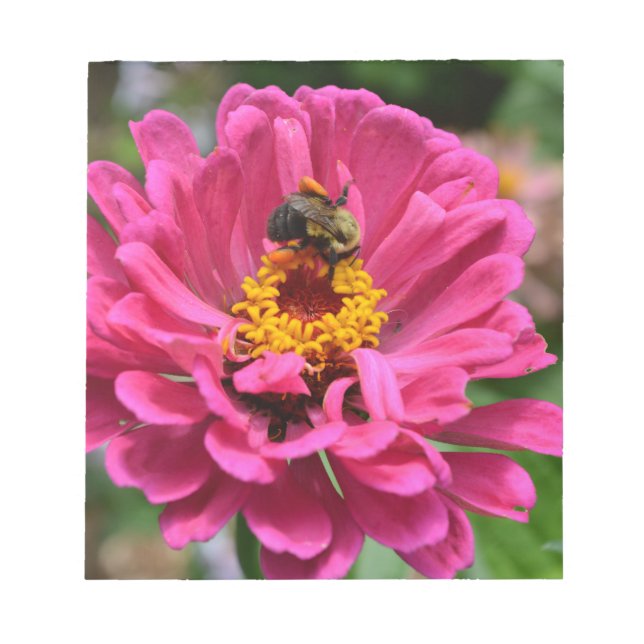Rosa Zinnia und Hummel Notizblock (Vorderseite)
