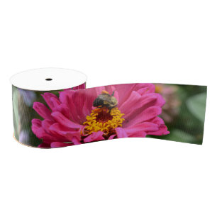 Rosa Zinnia und Hummel Ripsband