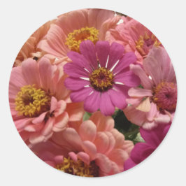 Rosa Zinnias-Aufkleber Runder Aufkleber