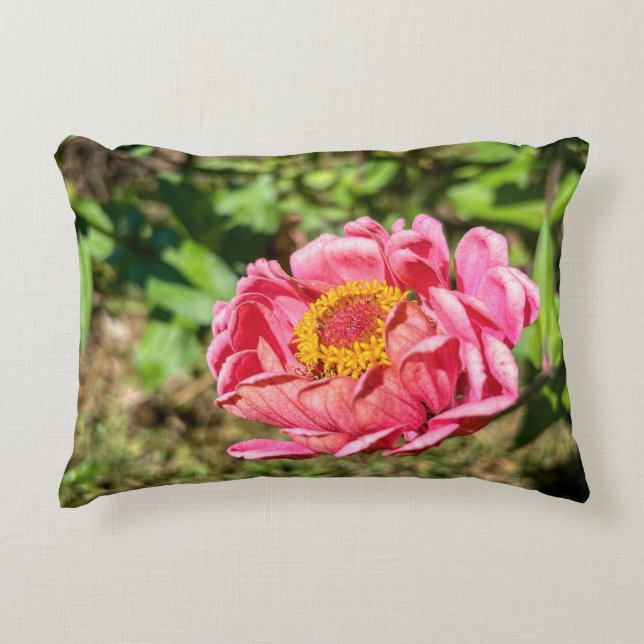 Rosa Zinnie mit gelber Mitte Dekokissen (Vorderseite)