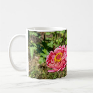 Rosa Zinnie mit gelber Mitte Kaffeetasse