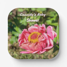 Rosa Zinnie mit gelber Mitte Pappteller