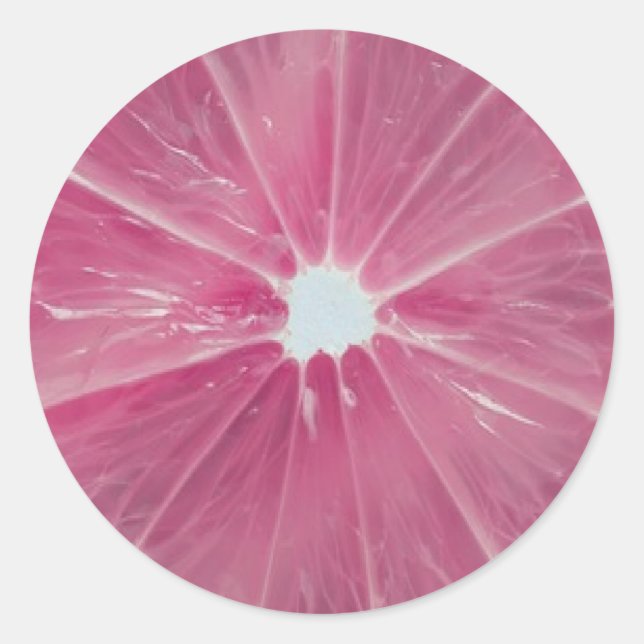 Rosa Zitrusfrüchte Runder Aufkleber (Vorderseite)