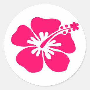 Rosaaloha Blume Runder Aufkleber