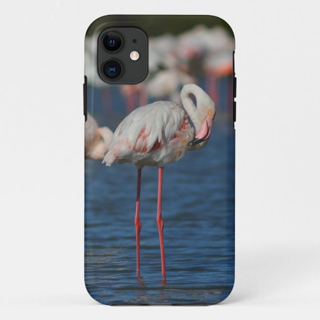 Rosafarbene Iphonhülle Case-Mate iPhone Hülle (Rückseite)