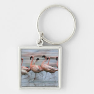 Rosaflamingos in Bewegung, Phoenicopterus Schlüsselanhänger