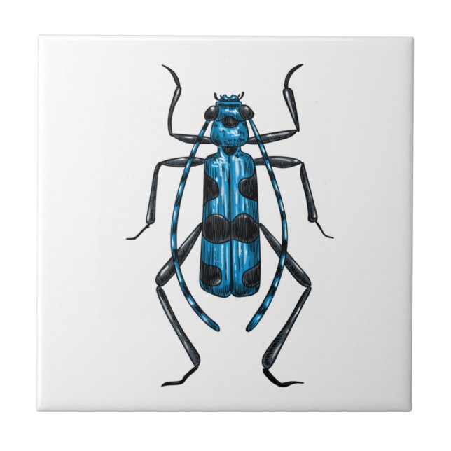 Rosalia Alpina Käfer Fliese (Vorderseite)