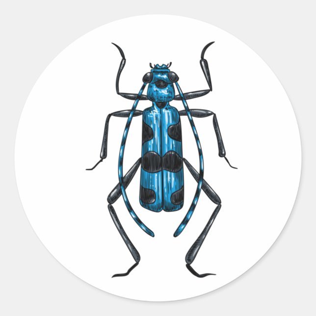 Rosalia Alpina Käfer Runder Aufkleber (Vorderseite)