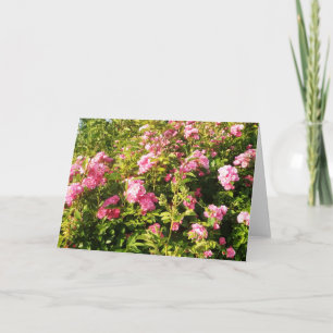 Rosarium Karte