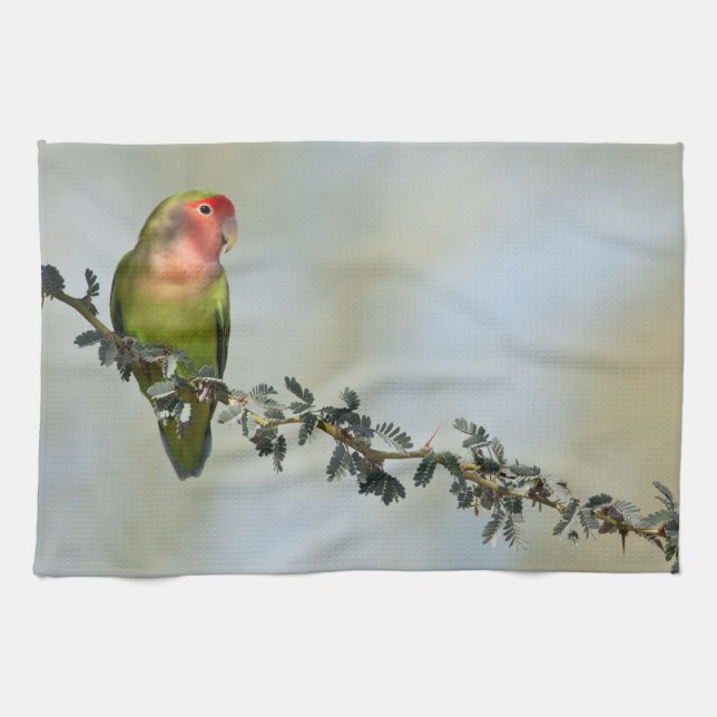 Rosaroter Liebesvogel auf dem Zweig Geschirrtuch (Horizontal)