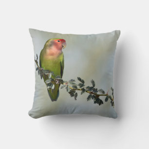 Rosaroter Liebesvogel auf dem Zweig Kissen