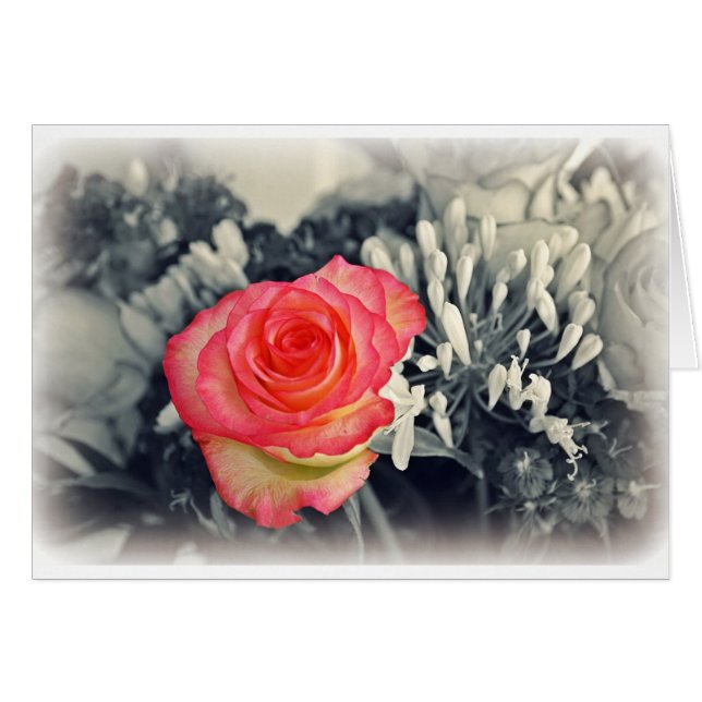 Rose (Vorderseite (Horizontal))