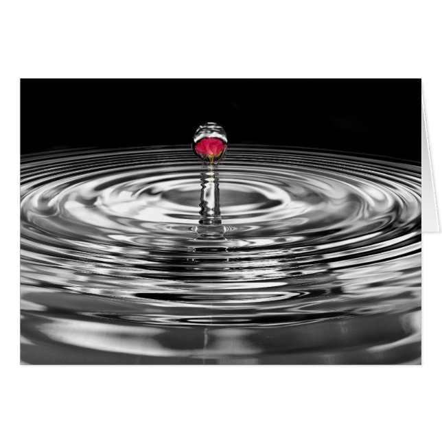 Rose (Vorderseite (Horizontal))