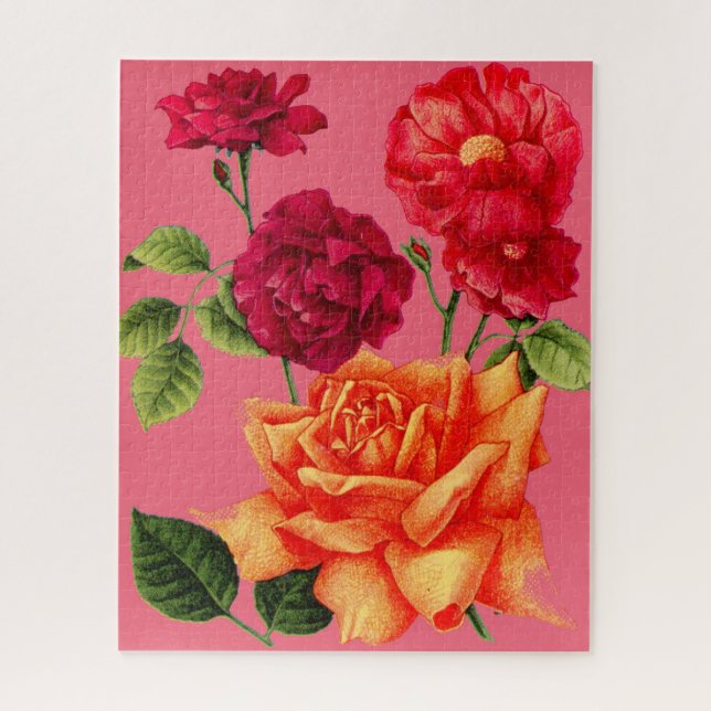 Rose (Vertikal)