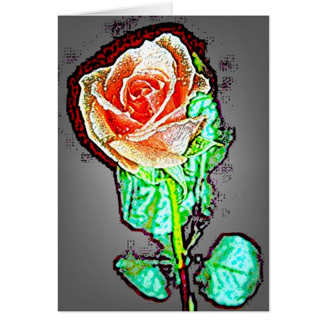 Rose 14 (Vorne)