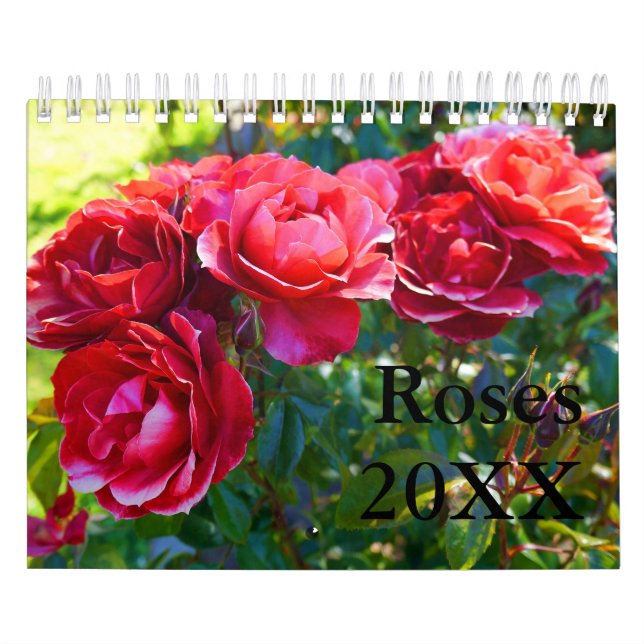 Rose #1 kalender (Titelbild)