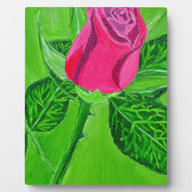 Rose 1a fotoplatte (Vorderseite)