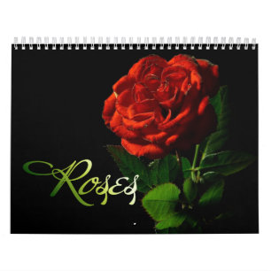 Rose 2013 kalender