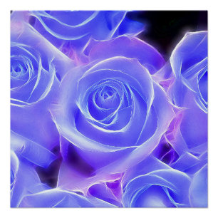 Rose 2014-20927 poster