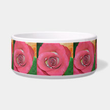 Rose_2015_0411