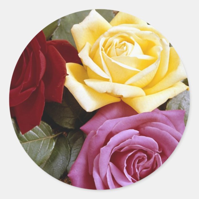 Rose 289B Runder Aufkleber (Vorderseite)