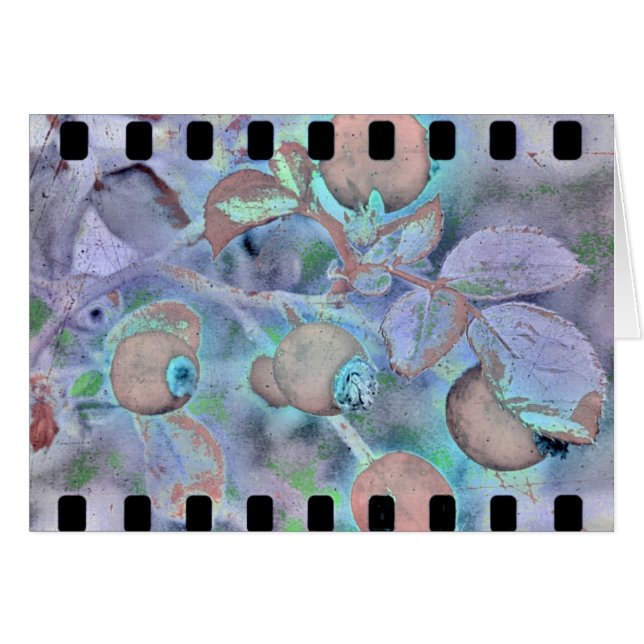 ROSE 3 (Vorderseite (Horizontal))