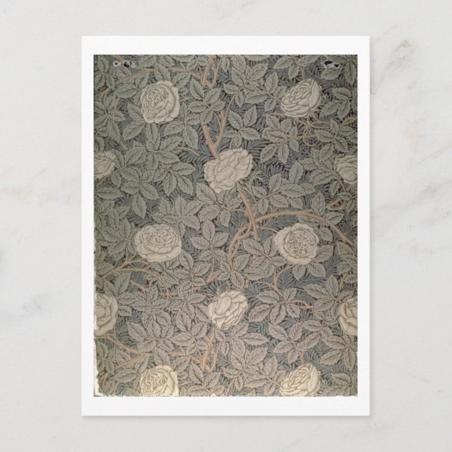 "Rose-90"-Tapete Postkarte (Vorderseite)