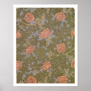"Rose - 93" Tapetenentwurf Poster