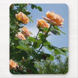 Rose "Alchemist" Mousepad