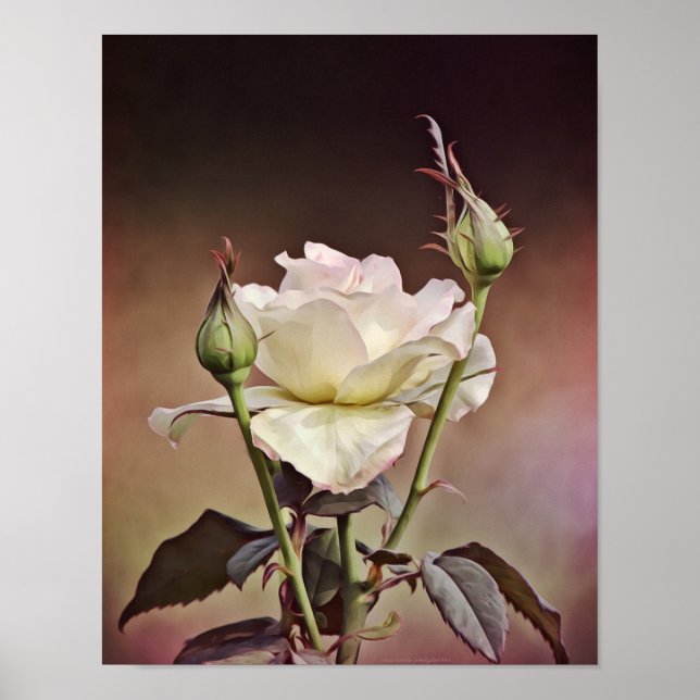 Rose Altes Weltportrait Fotografierende Kunst Poster (Vorne)