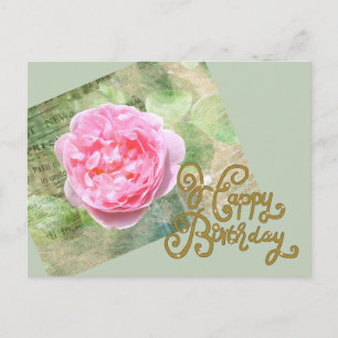 Rose an Wand Postkarte
