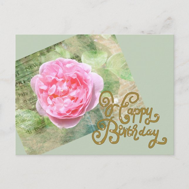 Rose an Wand Postkarte (Vorderseite)