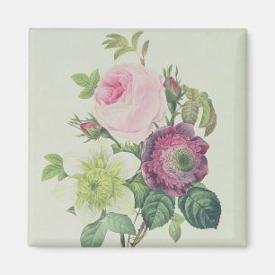 Rose, Anemone und Clematide Magnet