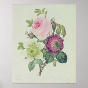 Rose, Anemone und Clematide Poster