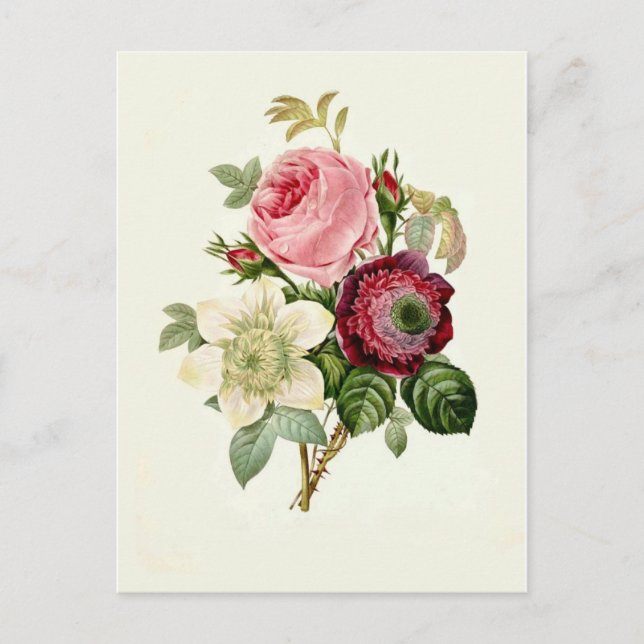 Rose, Anemone und Clematis von Pierre-Joseph Redou Postkarte (Vorderseite)