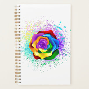 Rose arc-en-ciel coloré