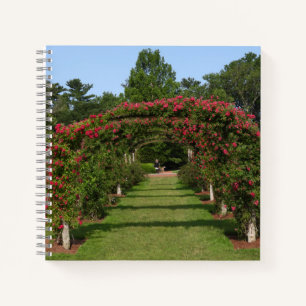 Rose Arch Elizabeth Park Garden Hartford Notizbuch