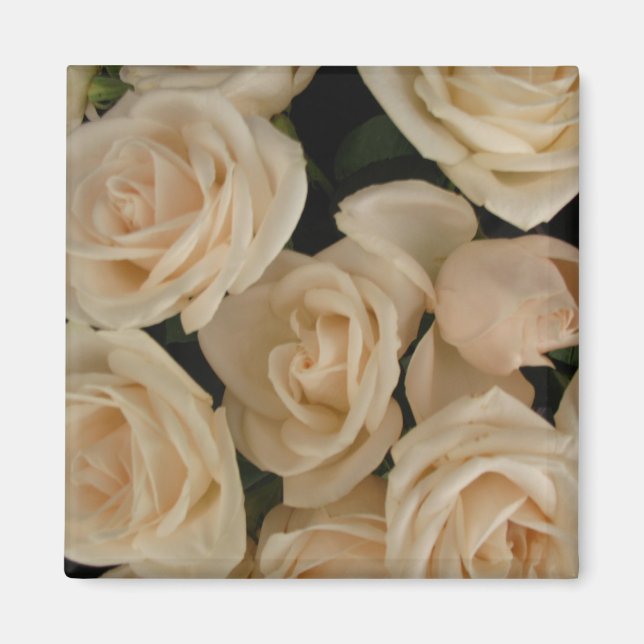 Rose auf dem Kühlschrank Magnet (Vorne)