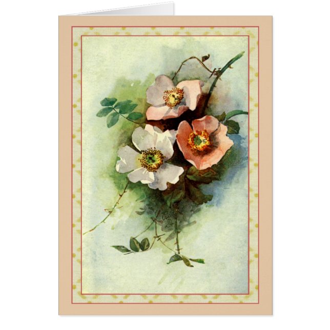 Rose auf dem Weinberg (Vorne)