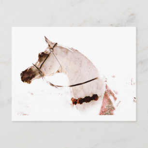 Rose auf Grau Postkarte