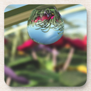 Rose auf Raindrops Cork Untersetzer