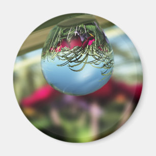 Rose auf Raindrops Magnet