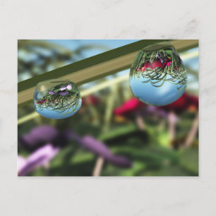Rose auf Raindrops Postkarte