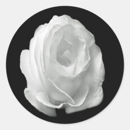 Rose auf schwarzem Hintergrund Runder Aufkleber