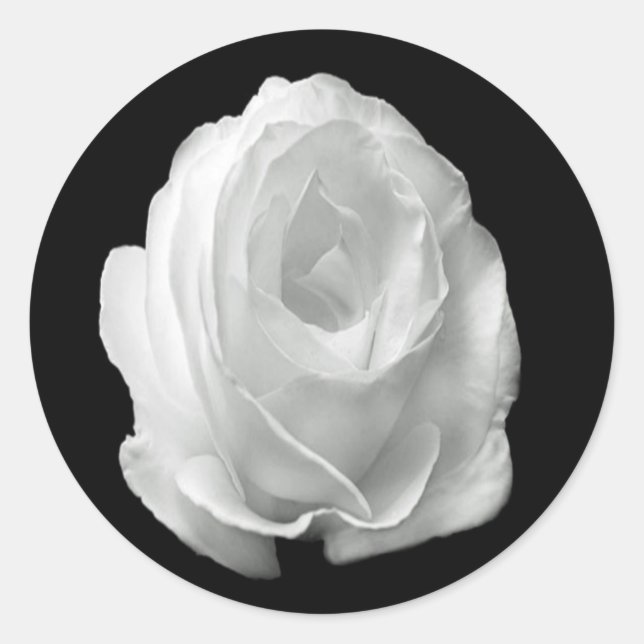 Rose auf schwarzem Hintergrund Runder Aufkleber (Vorderseite)