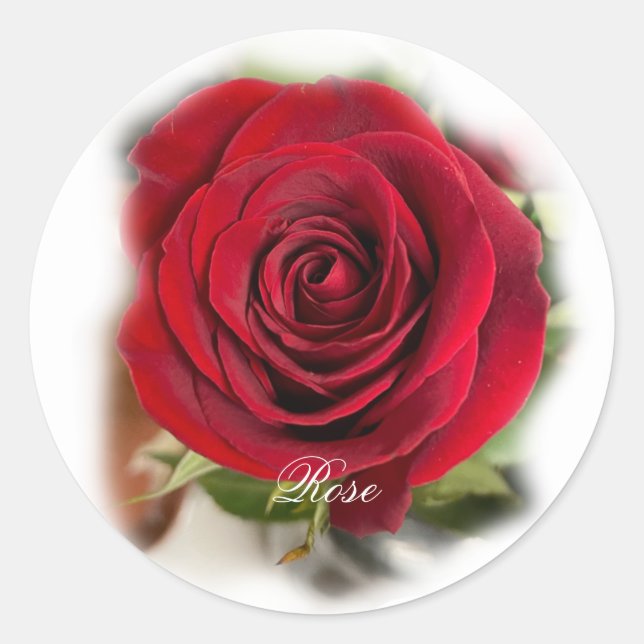 Rose Aufkleber-Umschlag Aufkleber (Vorderseite)