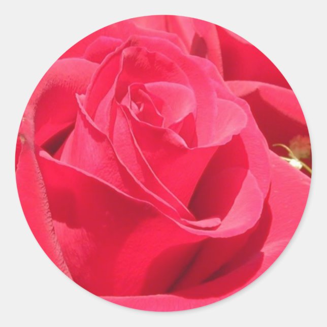 Rose-Aufkleber und Umschlag Aufkleber (Vorderseite)