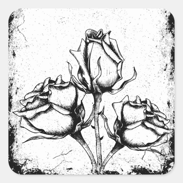 Rose aus Schwarz und Weiß Quadratischer Aufkleber (Vorderseite)