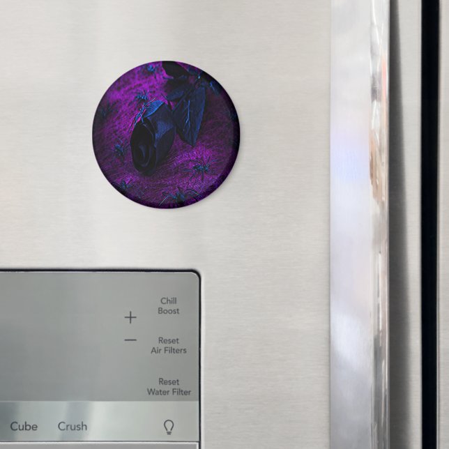 Rose aus schwarzem Material, Schwarze Spinnen Magnet (In Situ (Kühlschrank))