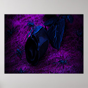 Rose aus schwarzem Material, Schwarze Spinnen Poster